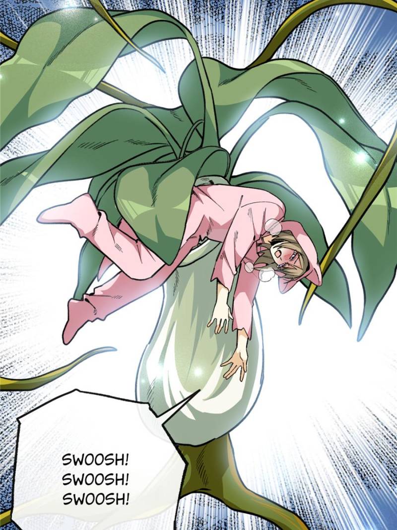 80676579 800 1067 124535