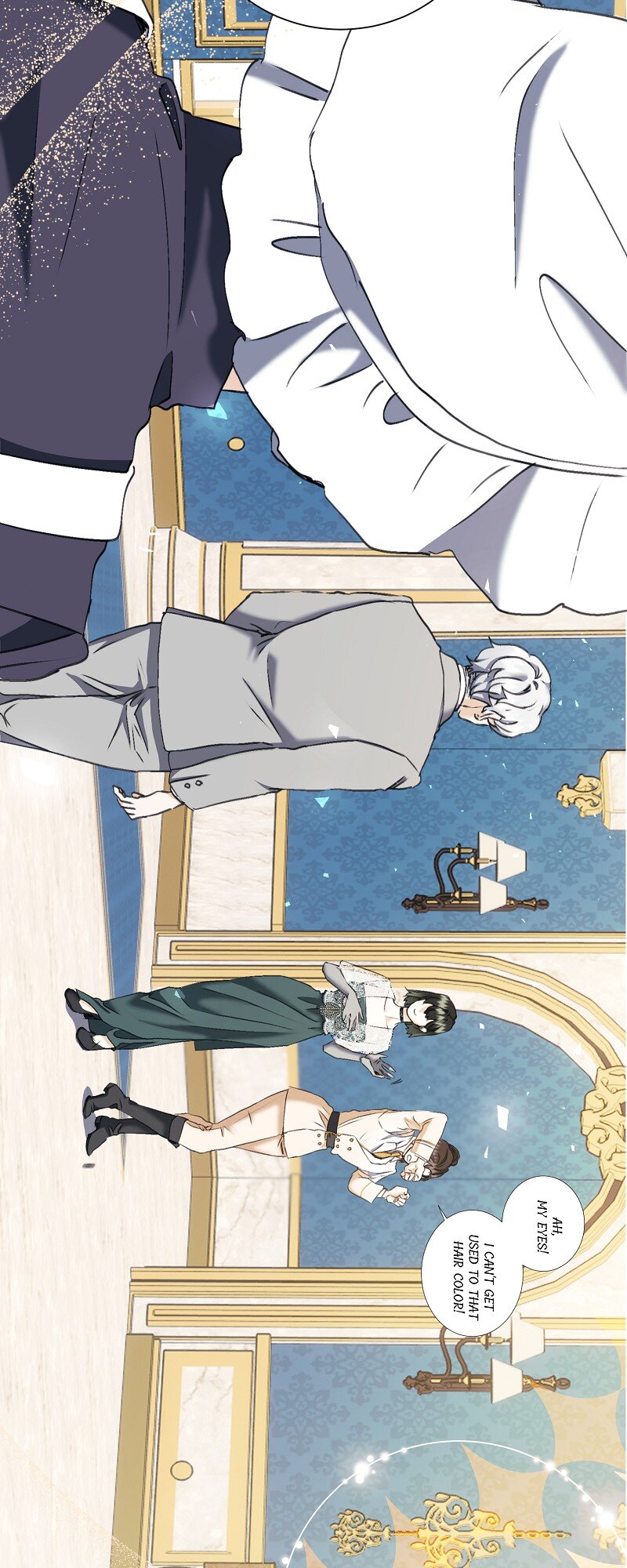 52680781 800 2000 284557